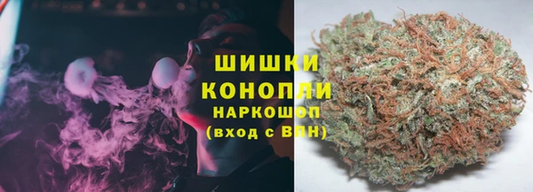 дживик Балахна