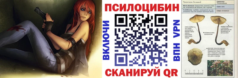 Псилоцибиновые грибы GOLDEN TEACHER  Купить закладки  Кашин 